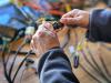 Appliance wiring harness repair.